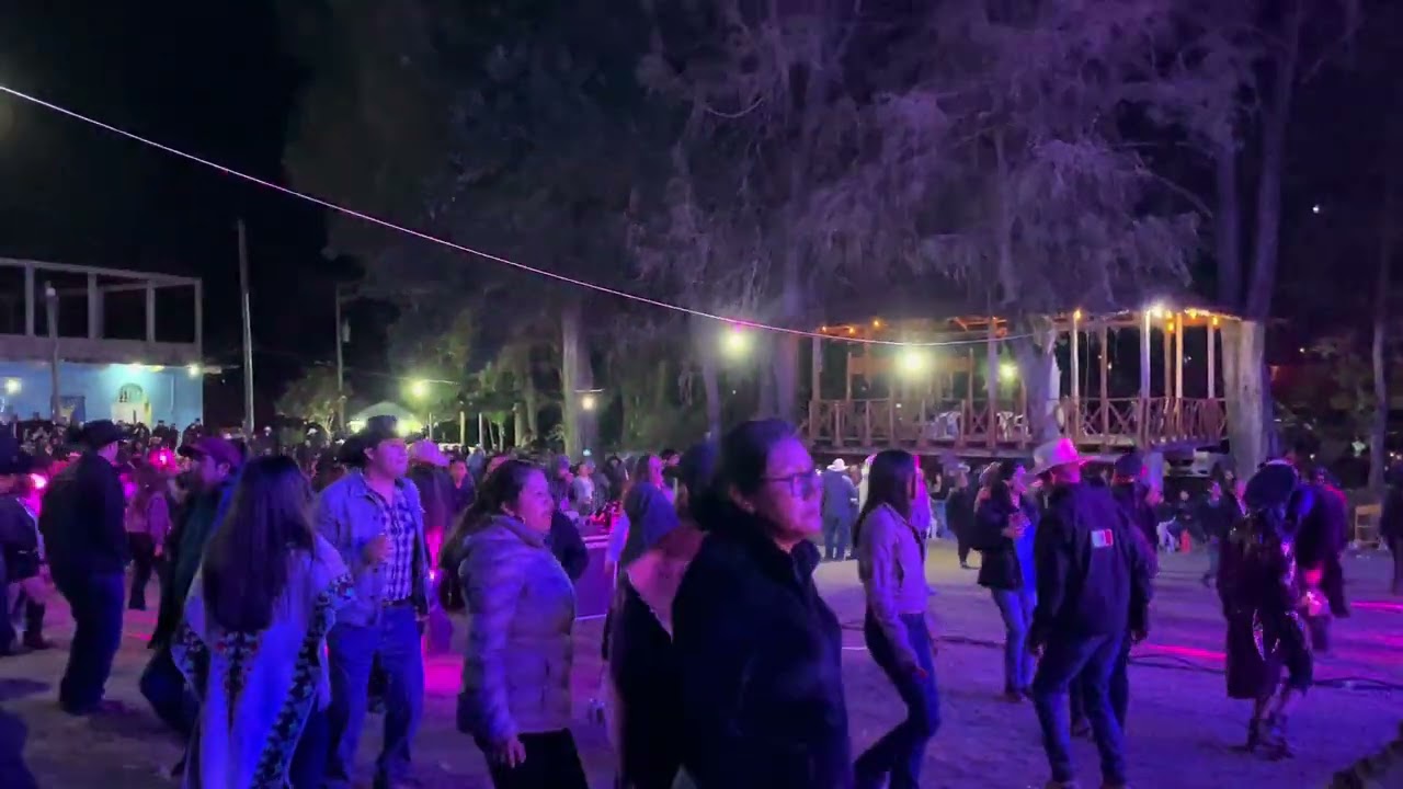 Los Reyes de Tierra Mixteca carnaval Santa Cruz Mixtepec 2026