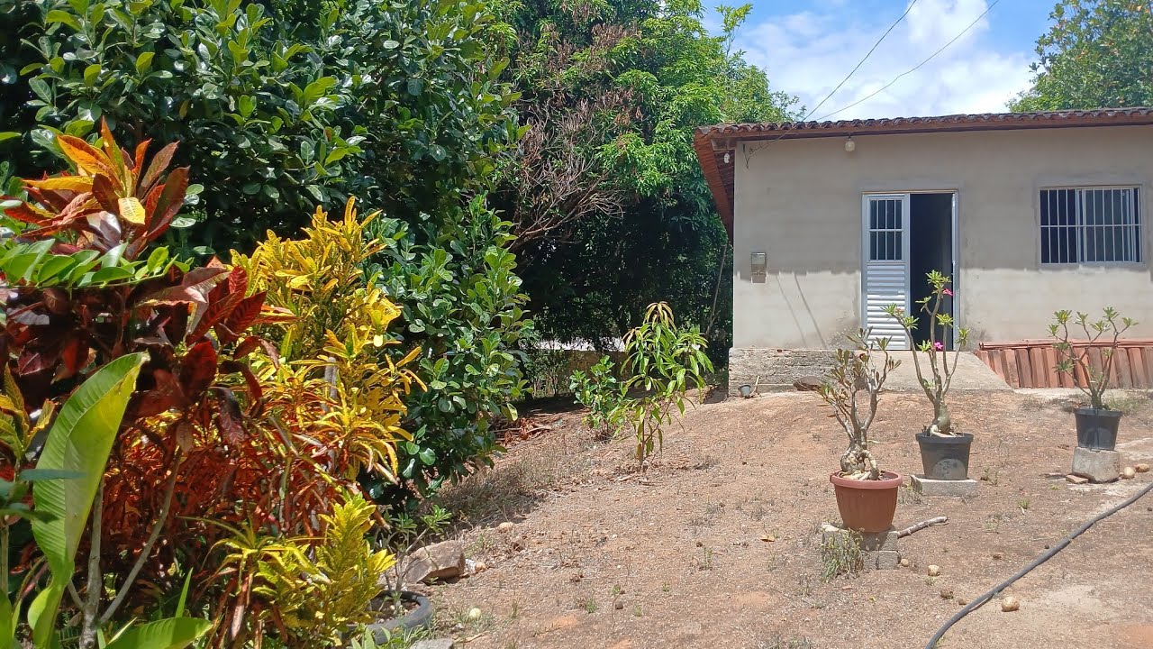 @ aguardo ás plantas o 🌞 muito quente 🔥 
