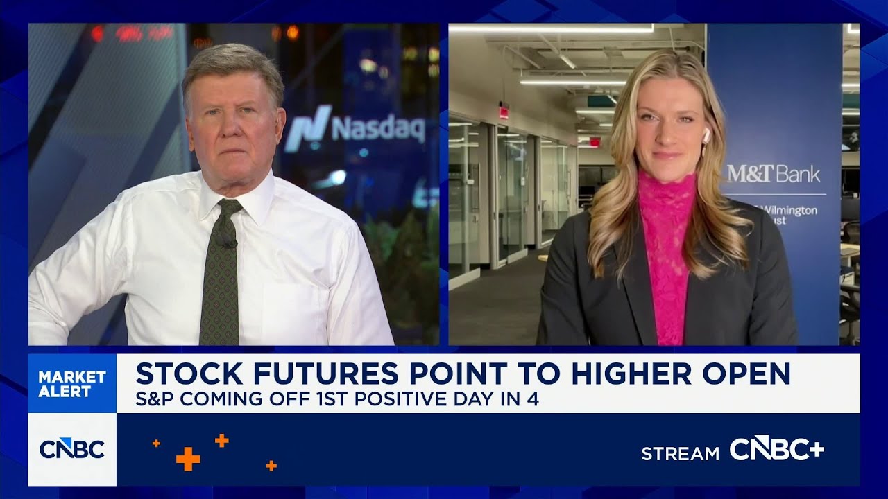 Expect 3 rate cuts from the Fed this year, says Wilmington Trust's Meghan Shue