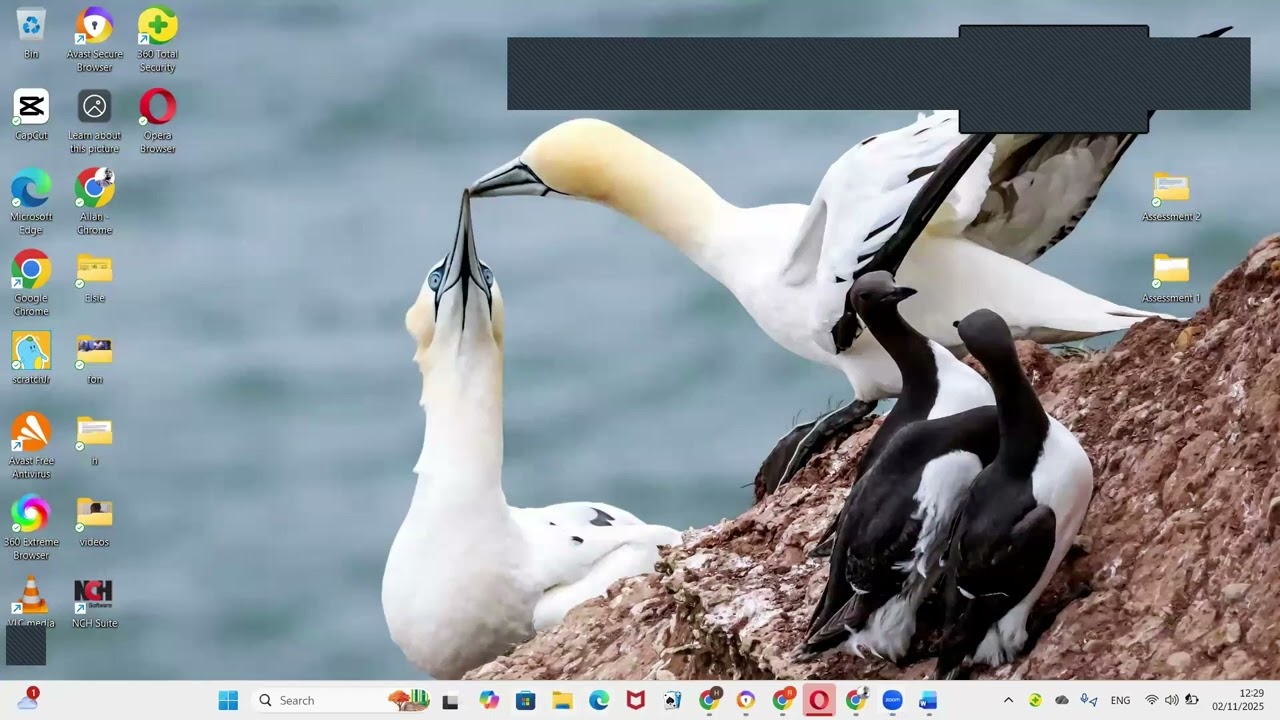 Organizing and Managing Files in Windows