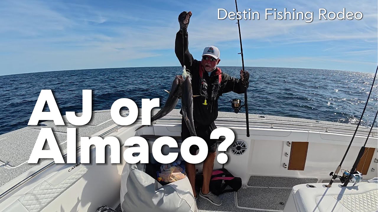 AJ or Almaco?! We Got This WRONG on the Last Day of the Destin Fishing Rodeo