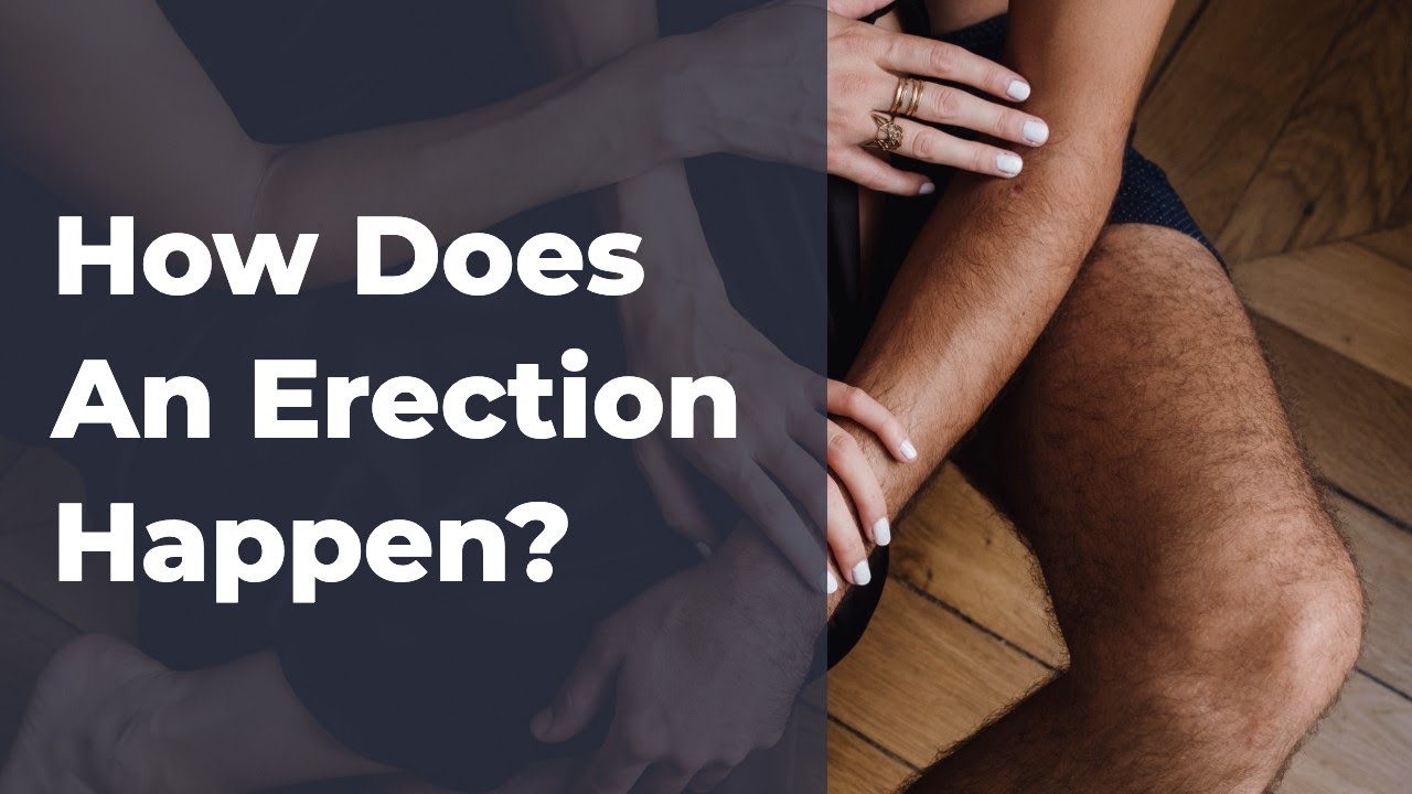 The Science Behind Erectile Dysfunction &mdash;&nbsp;How Does An Erection Happen?