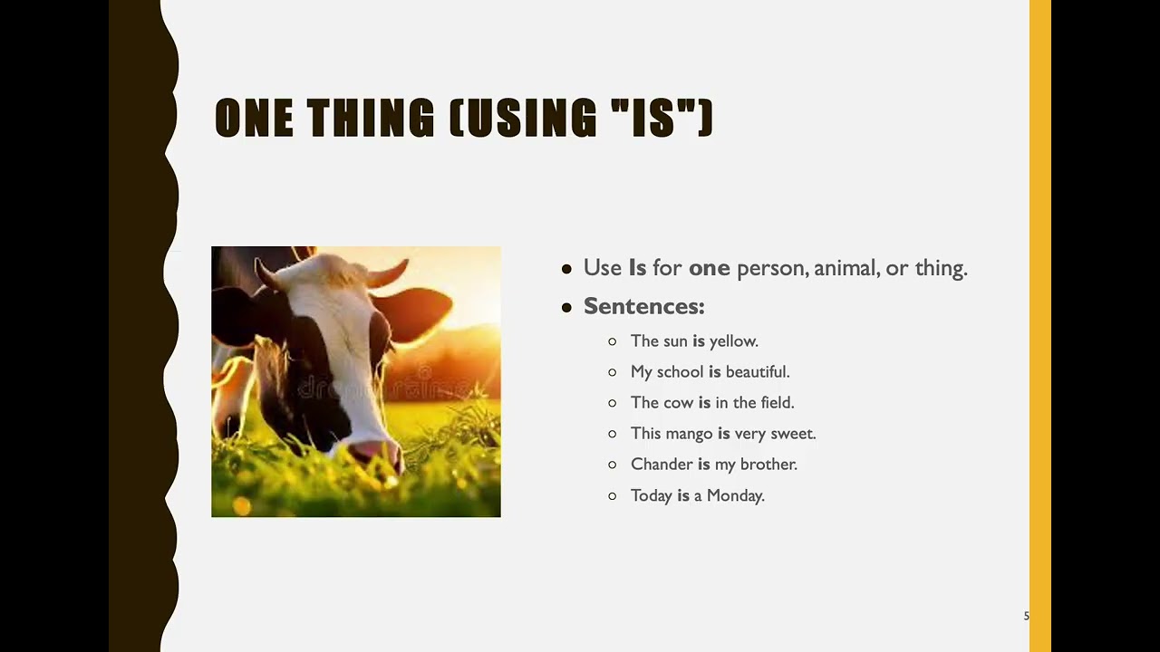 Speak to Shine | Am, Is, Are: English Speaking Practice (Hindi Explained) | Read Aloud Lesson