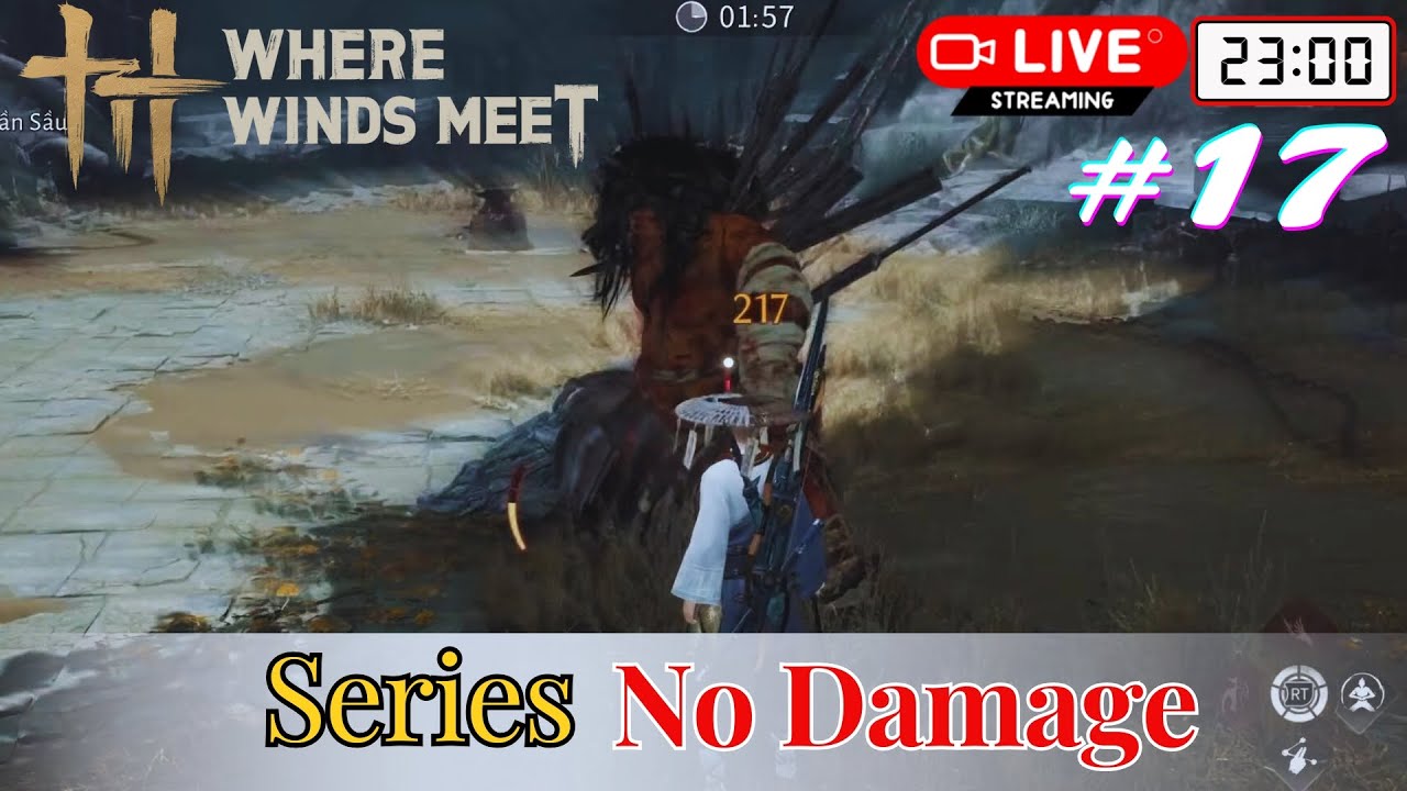 Where Winds Meet Việt Hóa #17 - No Damage Boss Trial Abyss Tiểu Thập Thất