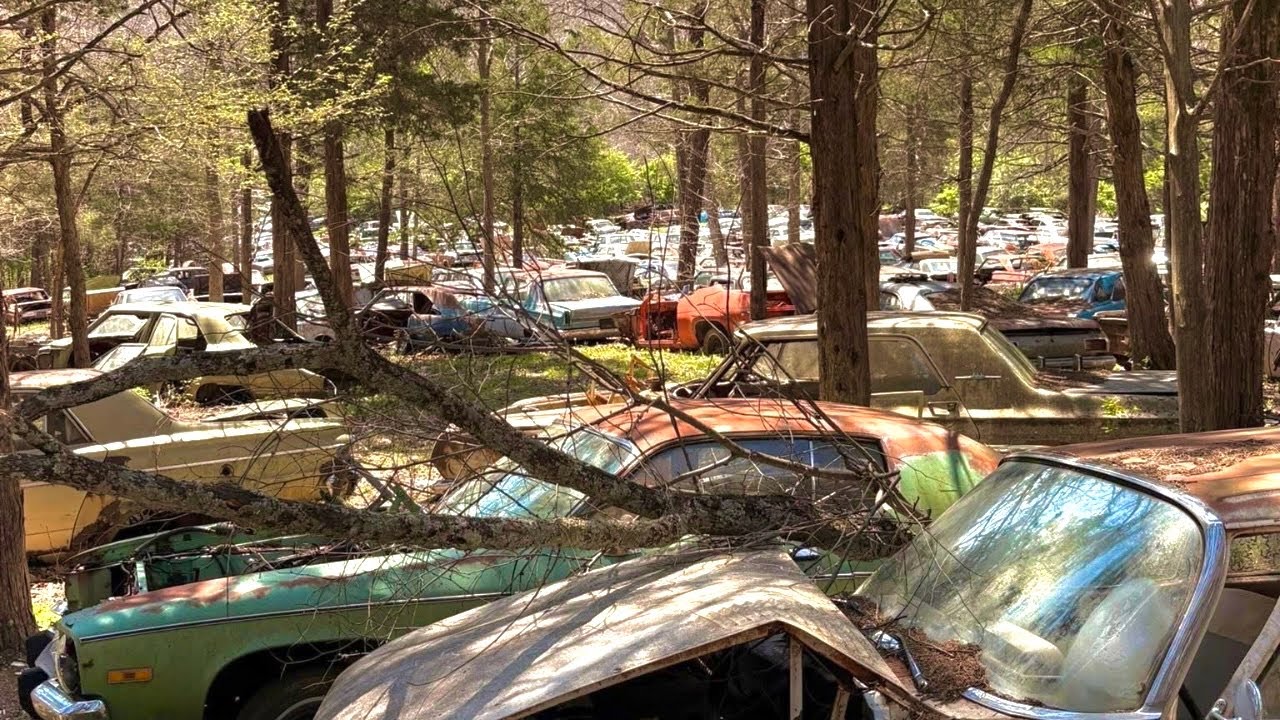 Заброшенная свалка классических маслкаров &mdash; исследование десятилетий истории.