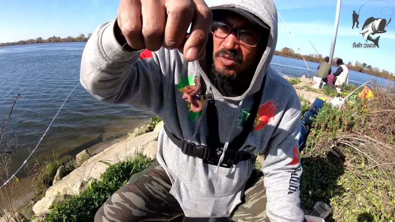Montagem e iscagem para os Barbos e Siluros.