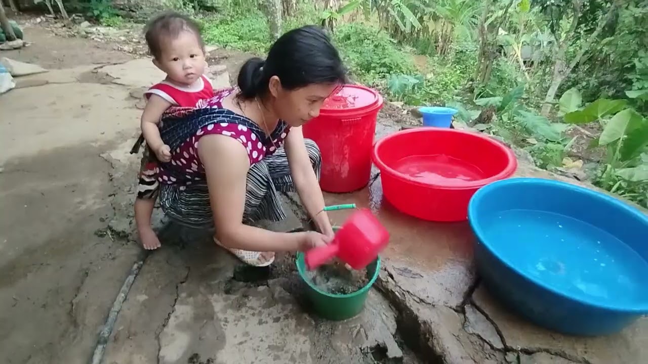 A day of finding vegetables for pigs and traditional Hmong food Ly Tu Chau