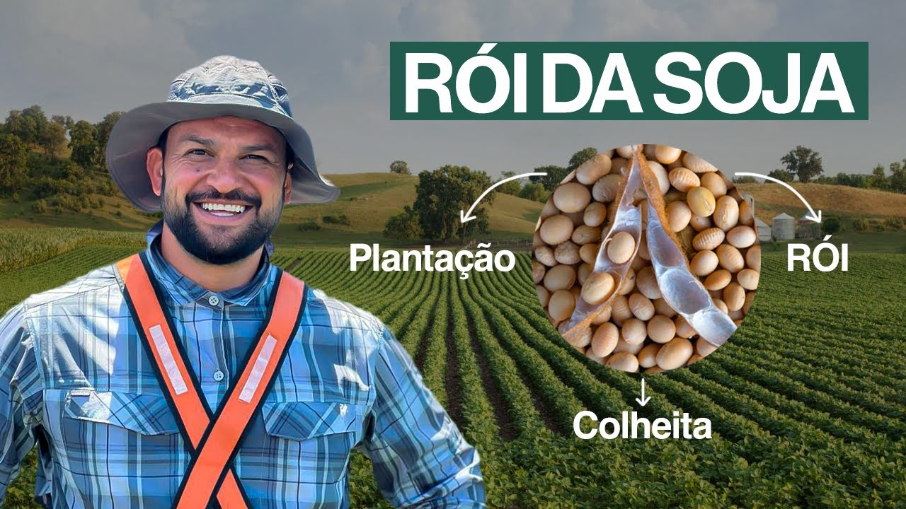 RÓI DA SOJA | Colher Mais Gastando Menos