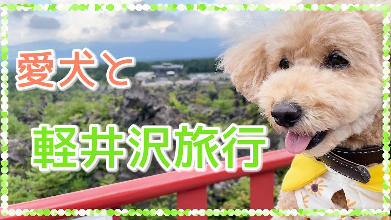 愛犬と軽井沢旅行