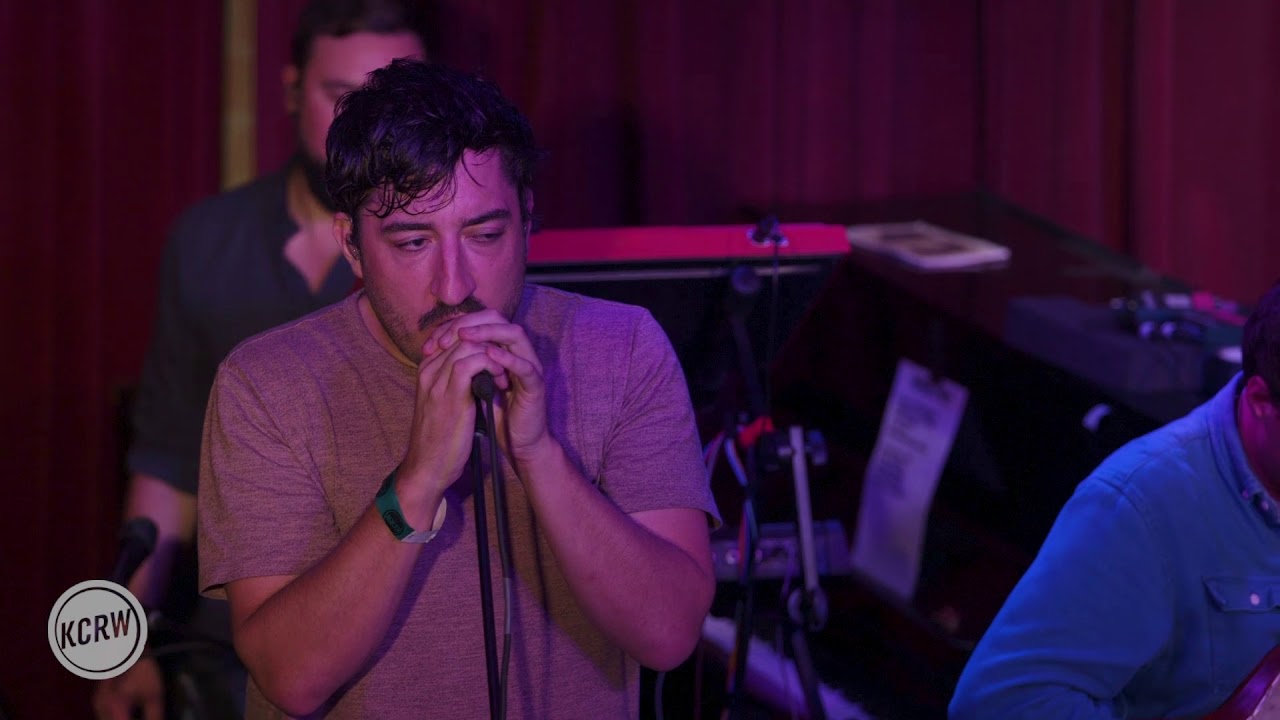 Grizzly Bear performing 