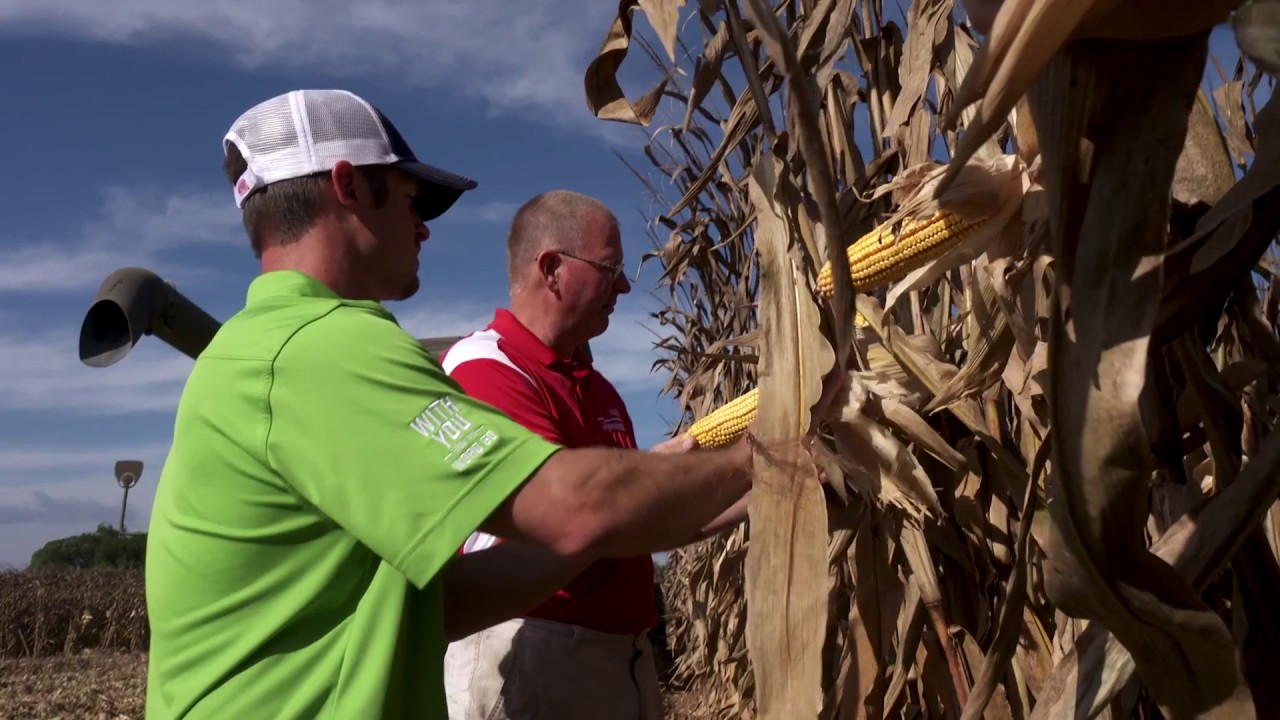 National Corn Yield Contest