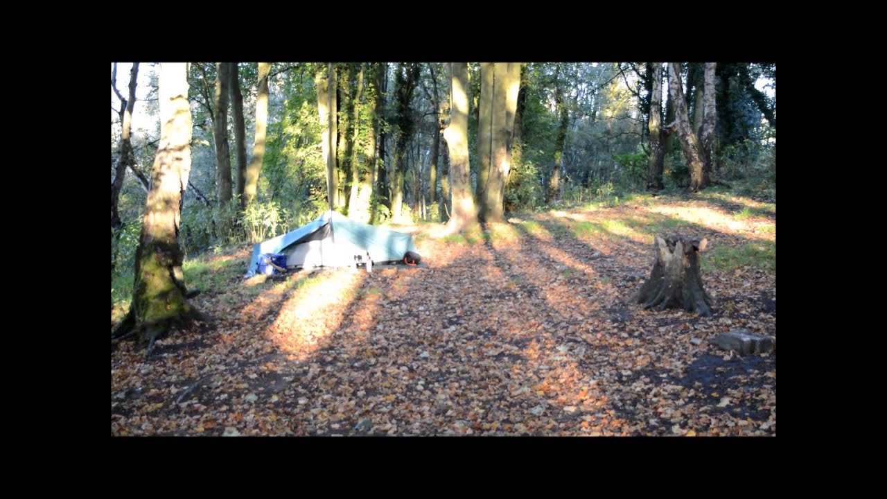 BROCKWELL WOODS 4TH 5TH OCT 2014