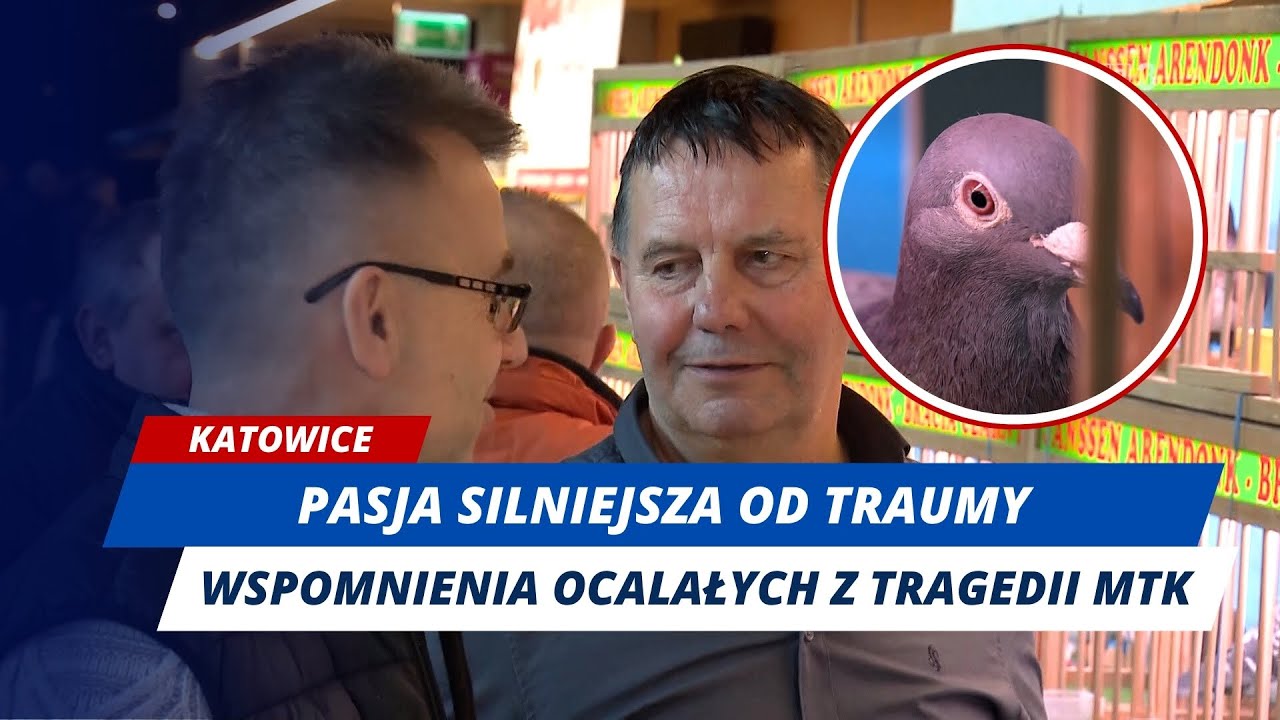 DZIŚ TAK MÓWIĄ O SZCZĘŚCIU, KTÓRE ICH URATOWAŁO