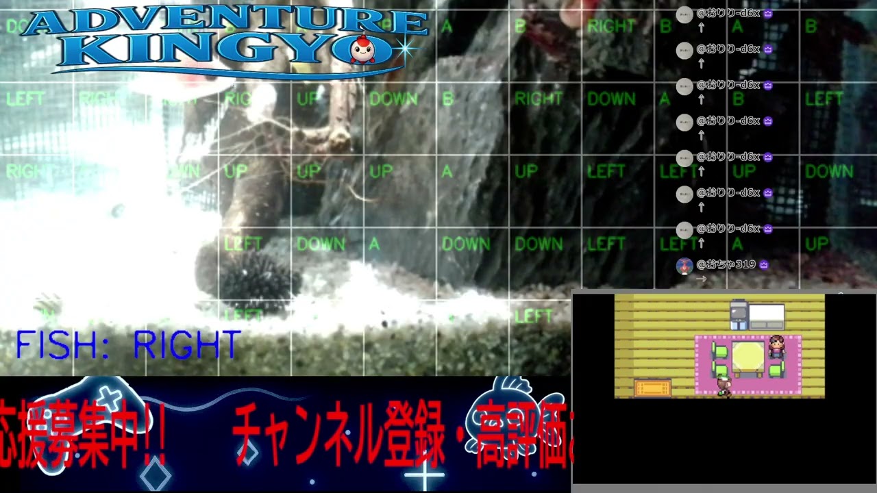 【ポケモンエメラルド】金魚がゲームをプレイ!? 🐟 視聴者コメントで動く参加型ライブ配信 〜Adventure Kingyo〜 パート43 2026-01-23