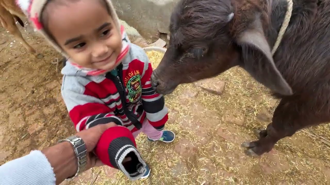 Happy uppal ॥ Lakhimpur kheri॥ #vlog #minivlog 