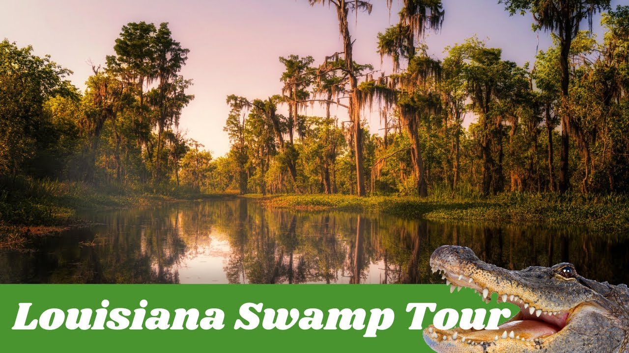 Louisiana Swamps and Bayous Aerial Video Tour