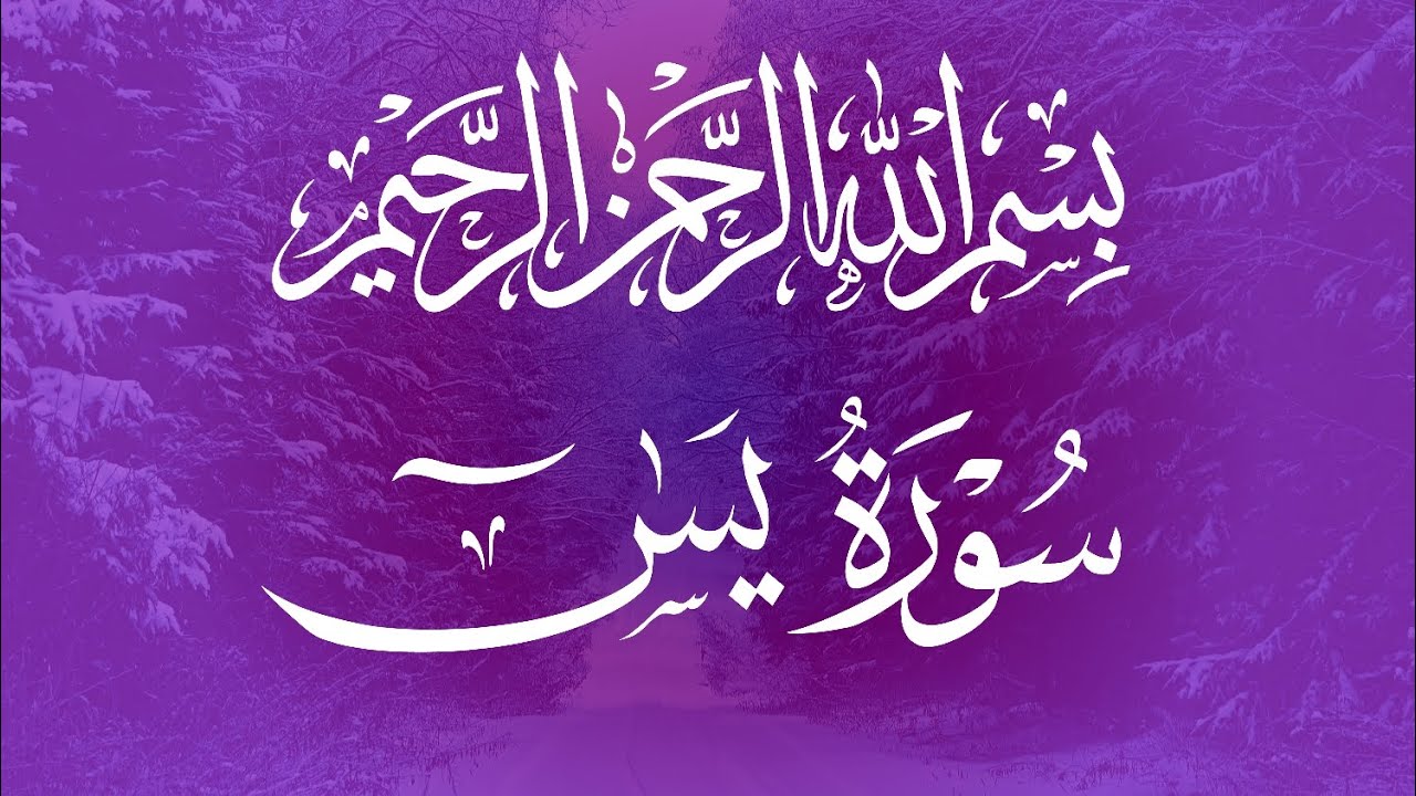 ❣️سورة يس ❣️مكتوبة❣️ مع الترجمة❣️ بصوت❣️ هادئ وجميل❣️