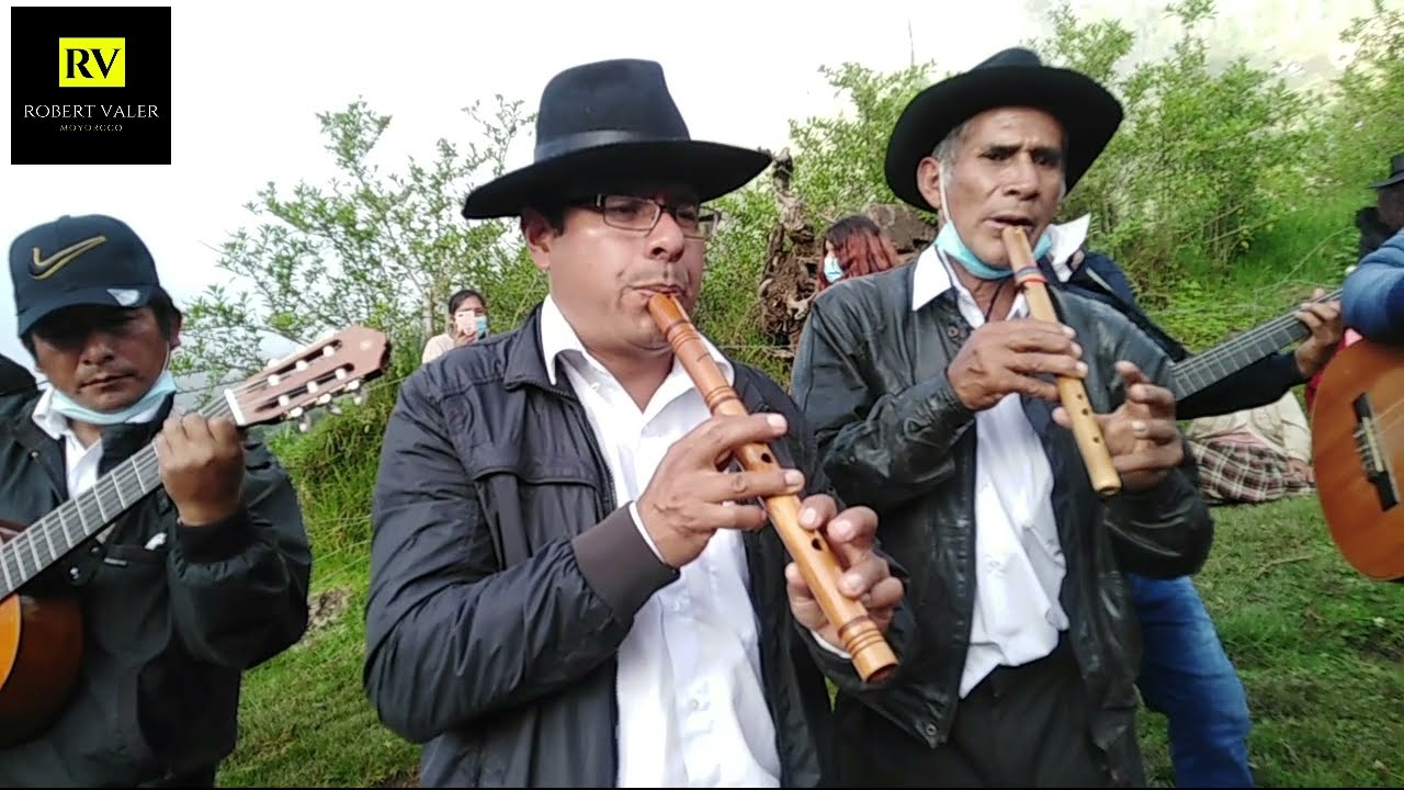 MÚSICA CACHORINA