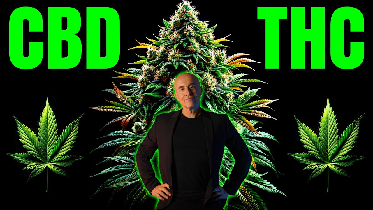 Cannabis: Farmaco o Droga?