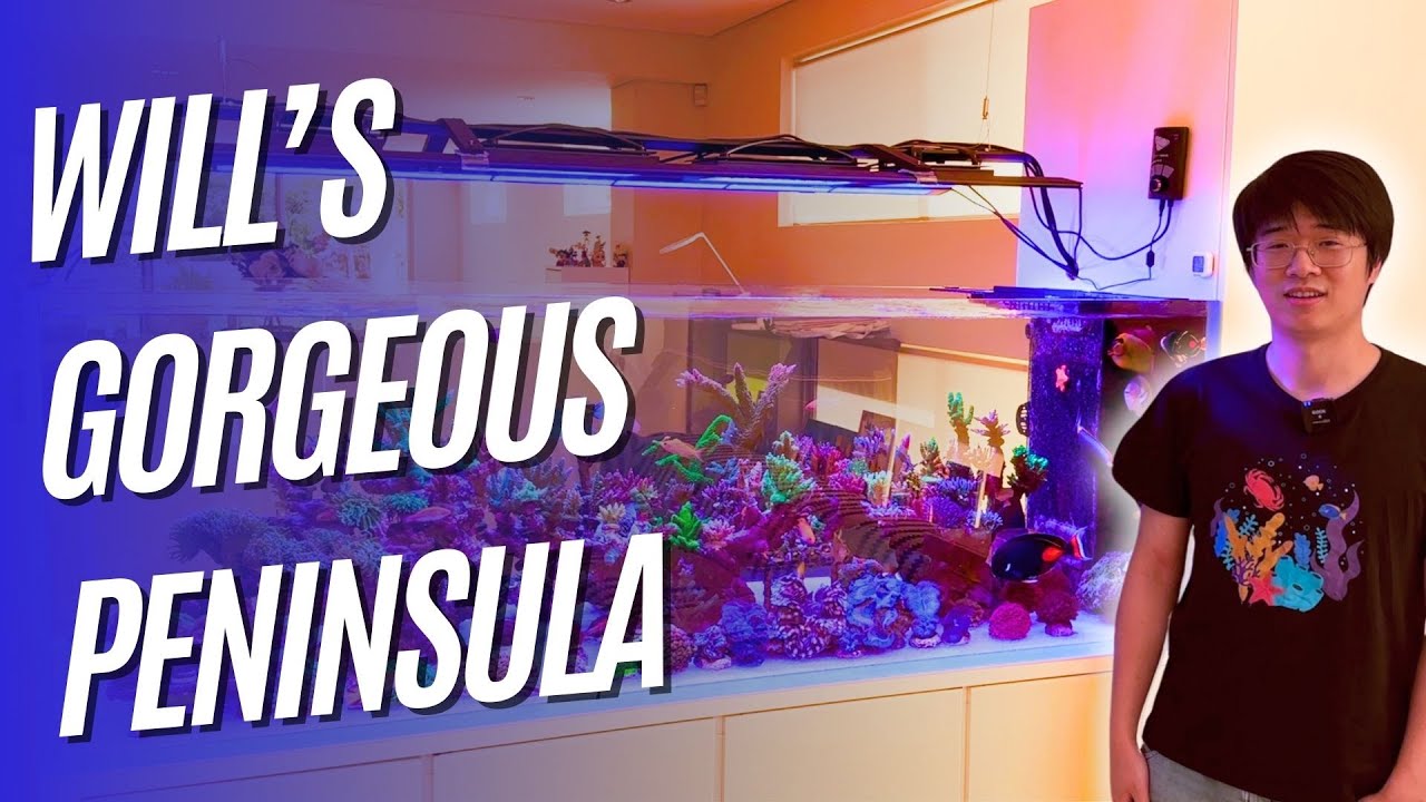 Will's Gorgeous Peninsula!
