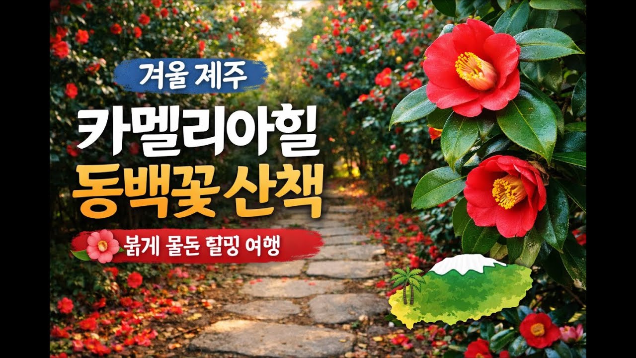 동백꽃이 가득한 제주 카멜리아힐🌺｜조용히 걷는 힐링 산책#카멜리아힐#제주동백꽃#제주여행#겨울제주#제주힐링#동백꽃명소#제주산책#힐링영상#자연풍경