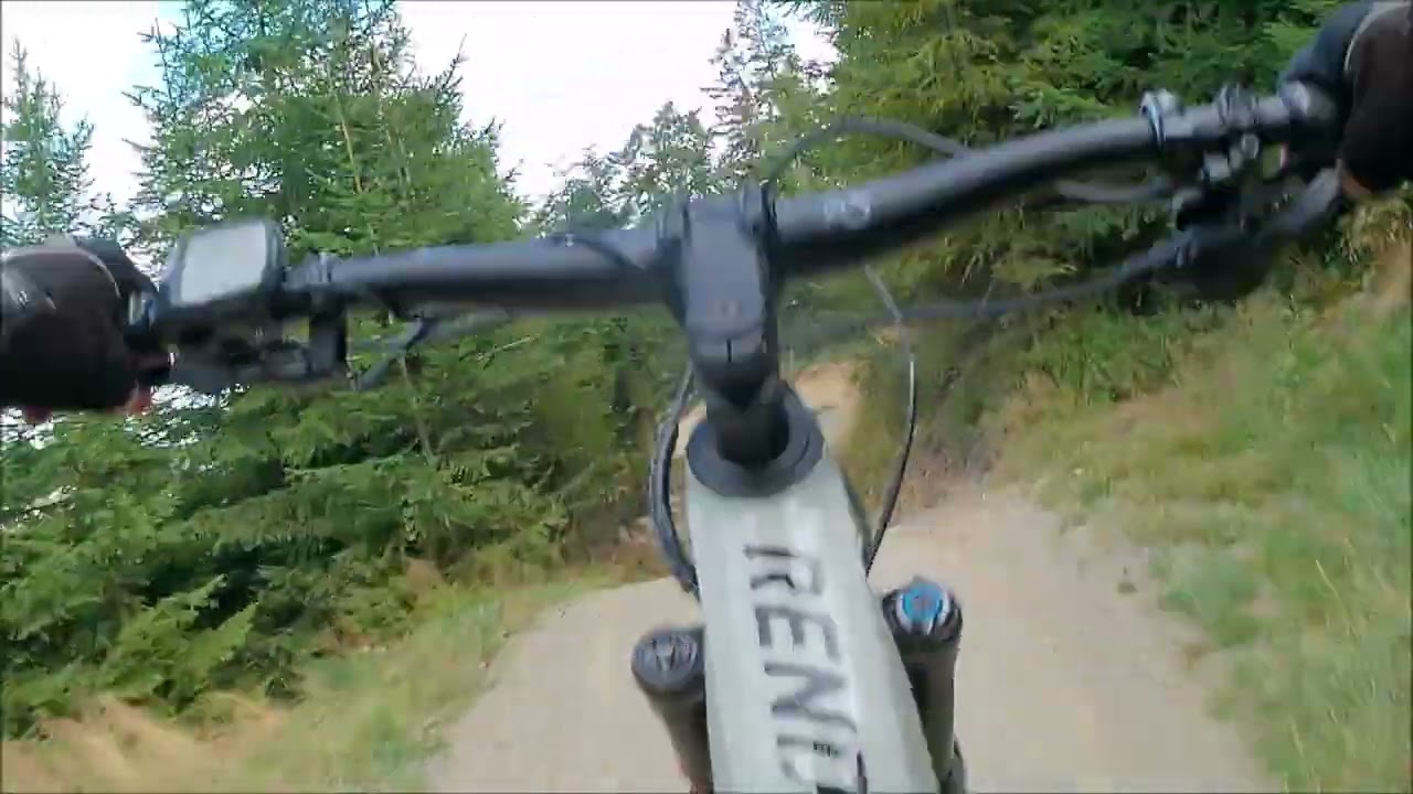Willingen/Bikepark/Flow-Country-Trail/Radon Render