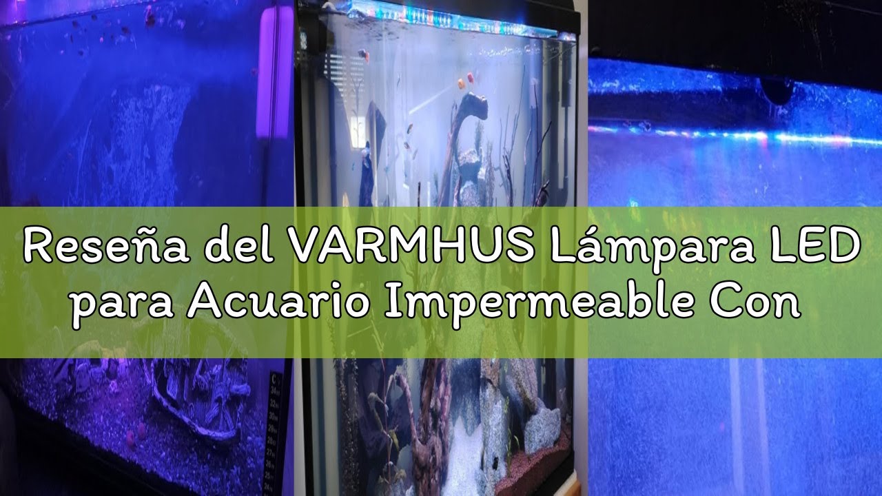 Reseña del VARMHUS Lámpara LED para Acuario Impermeable Con Temporizador, 3 Modos de Luz y 10 Nivele
