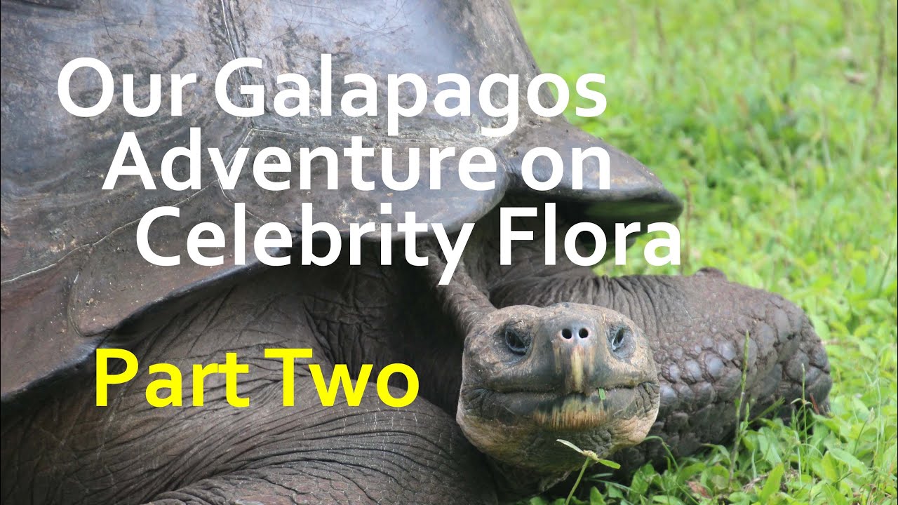 Our Galapagos Adventure - Part Two