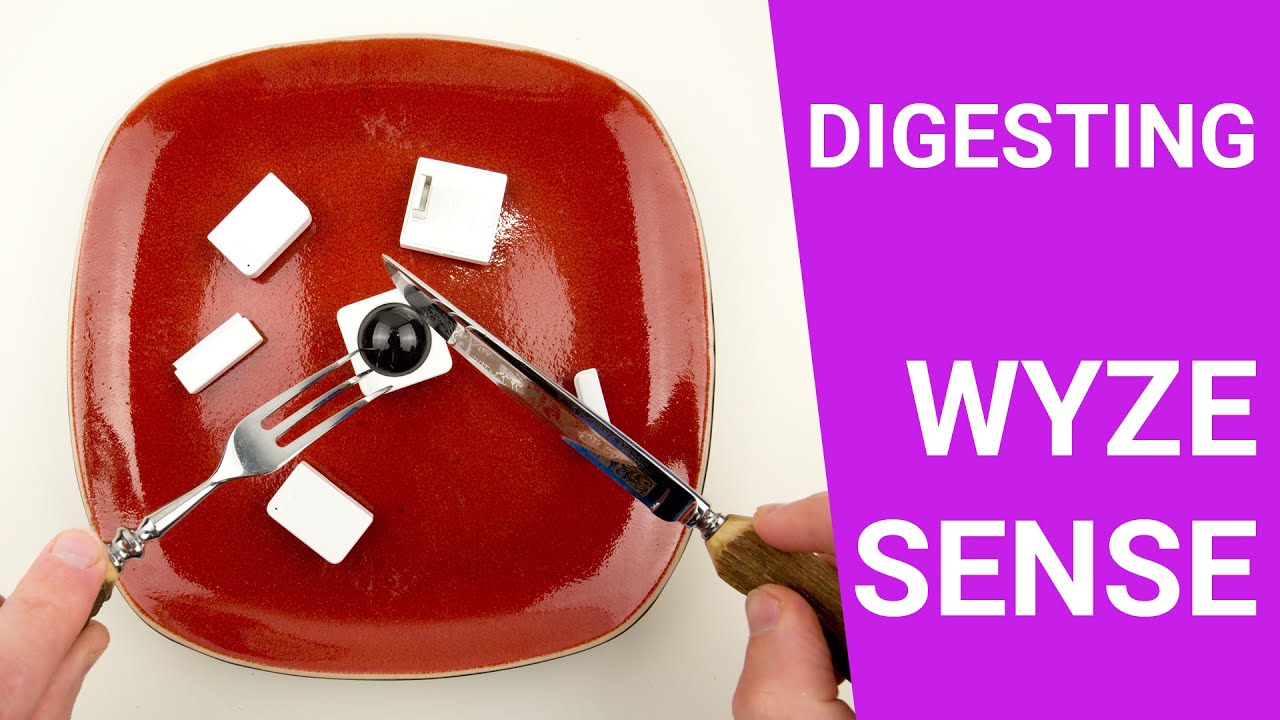 WYZE Sense KIT Teardown