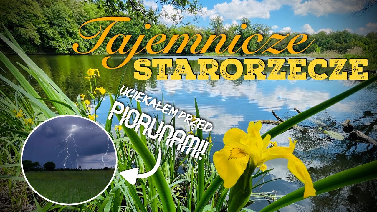 [161] R&oacute;żne metody - jeden cel. 🎯🔀Znaleźć spos&oacute;b na dziką wodę. 🪷🌳