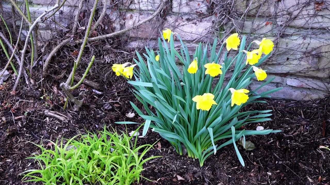 Im Hoeschpark Dortmund 2023