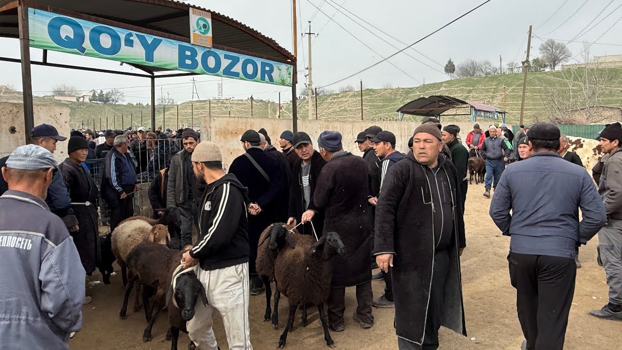 SOTILGAN VA QAYTGANLARI OLTINSOY MIRSHODI BOZORIDA