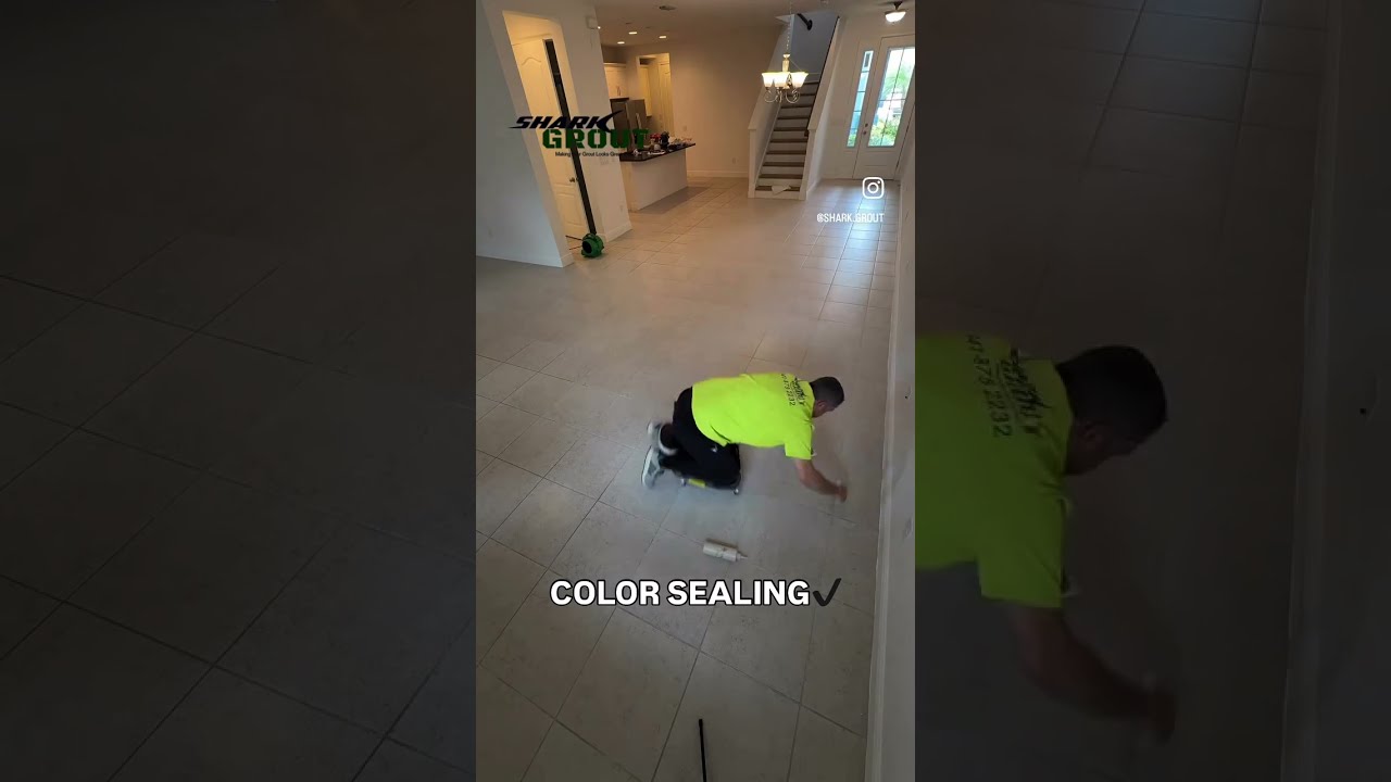 Shark Grout Professional Grout & Tile Cleaning and Restoration in Florida USA