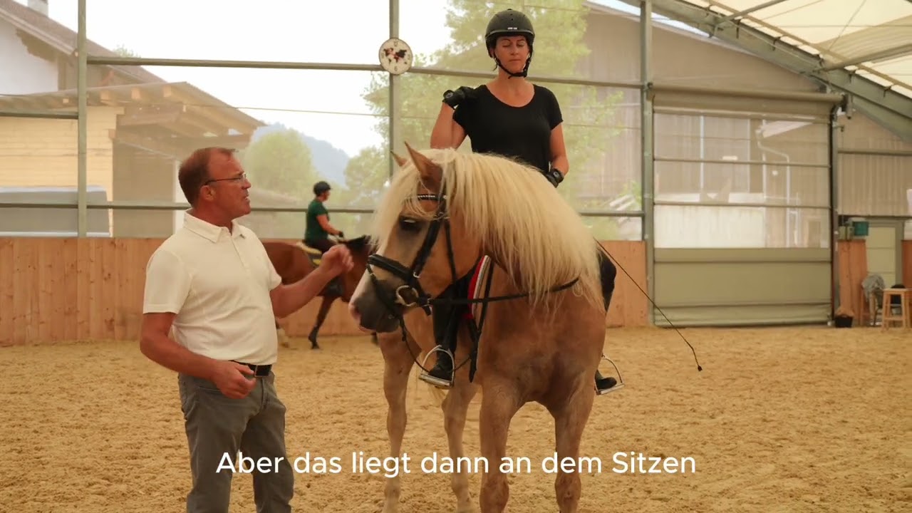 Sinneswahrnehmung