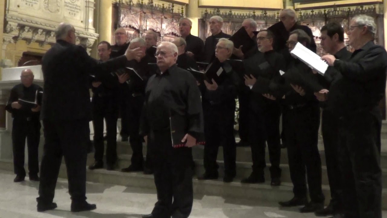Coro de Cámara Gaztelupe. 