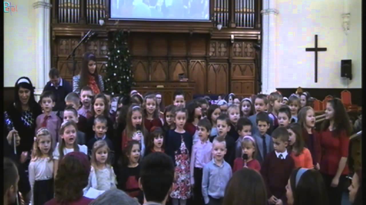 Program 24 decembrie 2014