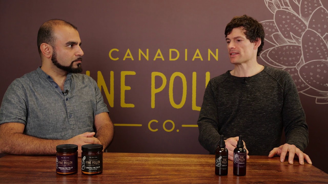 Pine Pollen Tinctures vs Powder