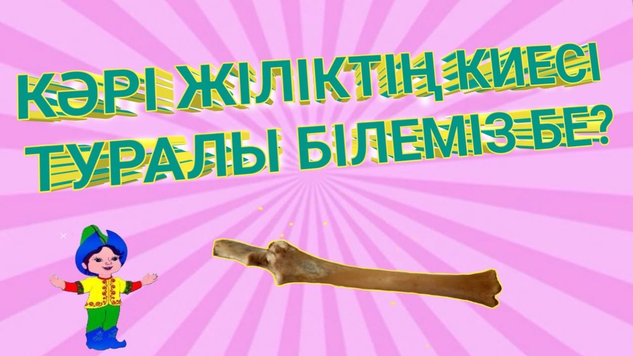 КӘРІ ЖІЛІКТІҢ КИЕСІ ТУРАЛЫ БІЛЕМІЗ БЕ?