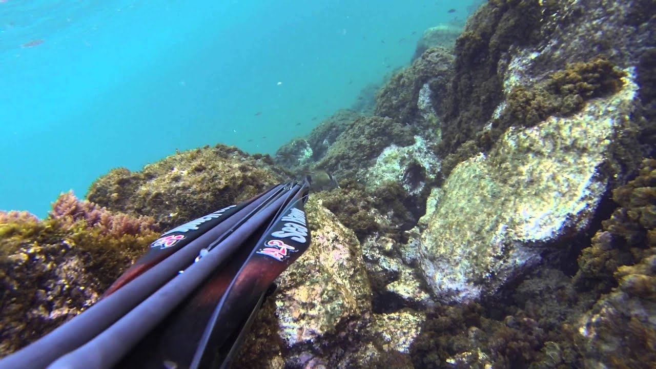 Luglio 2014   ALP + Sea Hawk 75 roller