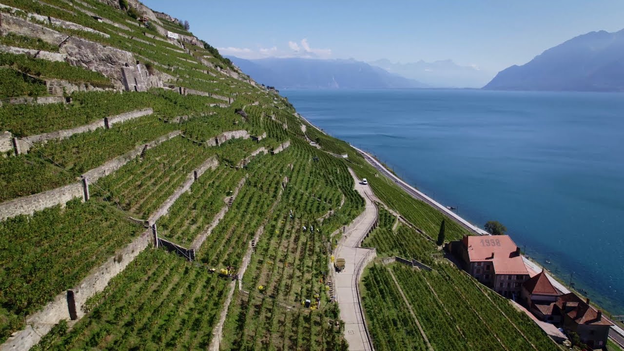 Murs à Lavaux | Témoignages d'un paysage