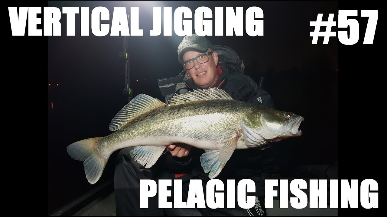 #57 Vertical Jigging And Pelagic Fishing For Monster Zander ( Garmin Panoptics Livescope / GLS10 )
