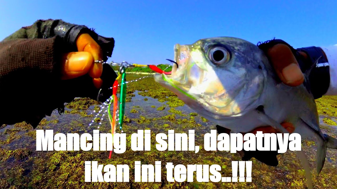 Ultra light casting microjig 5 gram || Full strike ikan GT bak mancing mania