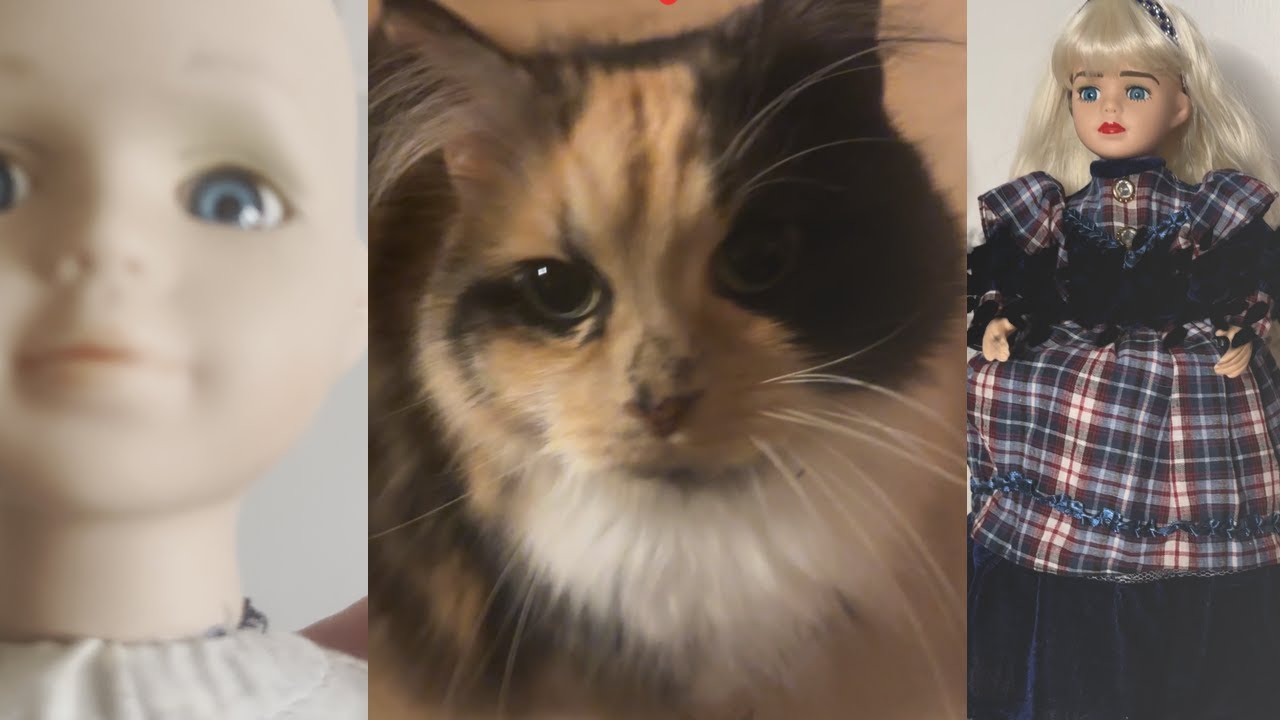 Is my cat judging my art?(Amura is NOT impressed)😺