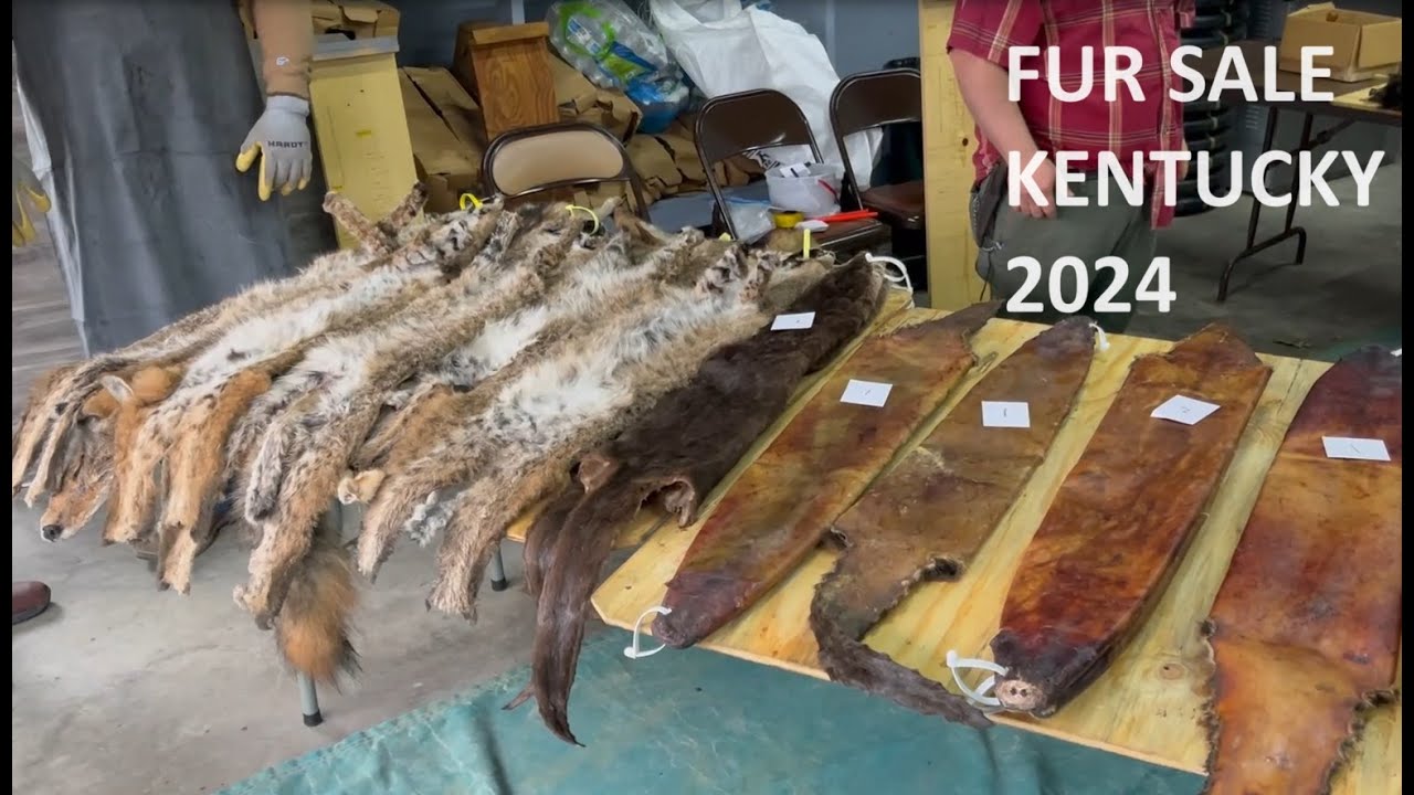 Fur Sale Kentucky 2024