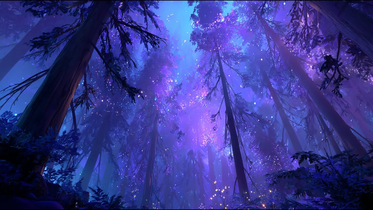 Quiet Forest Night • Deep Sleep Nature Ambience (10 Hours)
