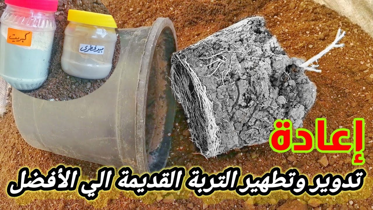 التربة القديمة هنرجعها افضل من الأول ب 3 محسنات متوفرين