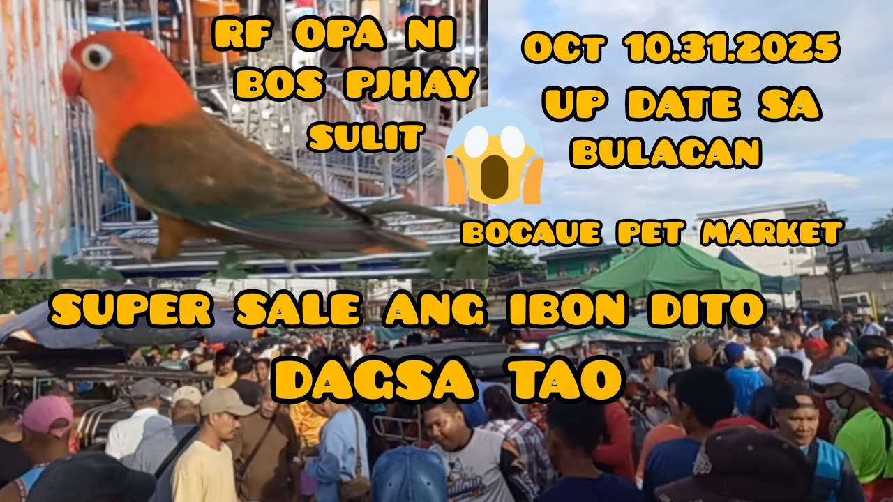ep#212 oct 12.31.25. up date bulacan bocaue pet market. super sale. RF opa ni bos pjhay super ganda.