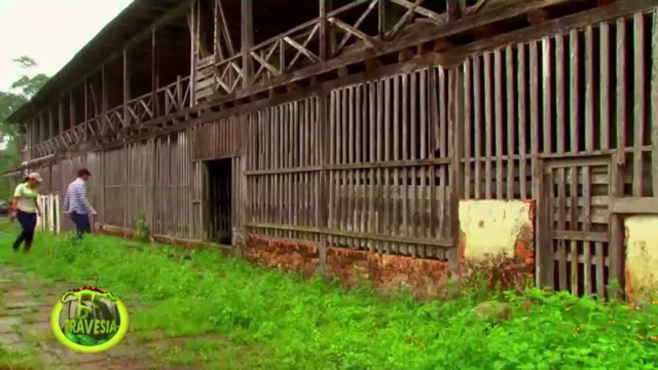 Haciendas de Café mas Antiguas de Colombia -Haciendas Liberia y California- Juan Gonzalo Angel