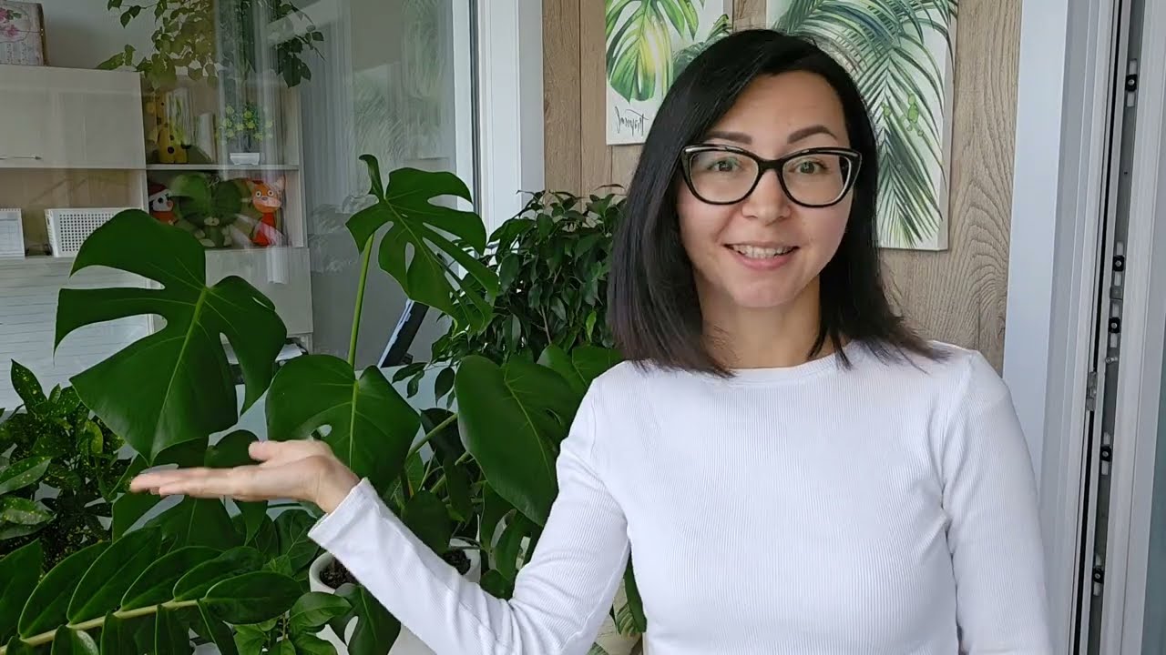 🌿Моё первое видео для канала 🌿Обзор всех растений моего домашнего сада