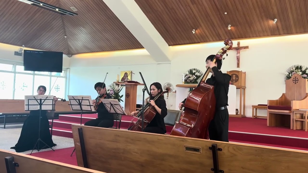 Nice music!!! Auckland Mozart Player